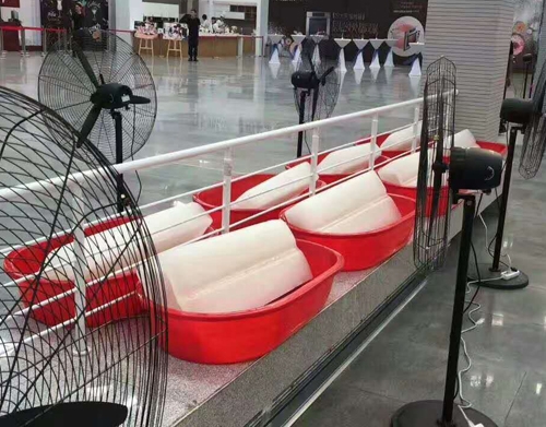 午夜福利一区二区冰塊案例