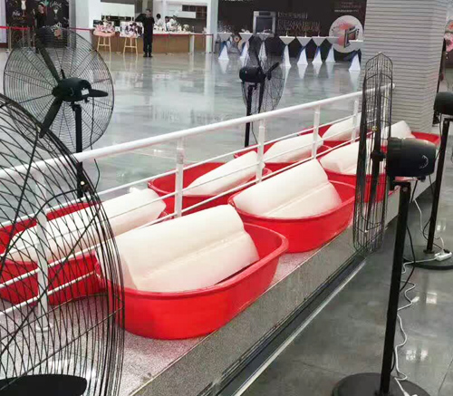 西安午夜福利一区二区冰塊 西安午夜福利一区二区冰塊